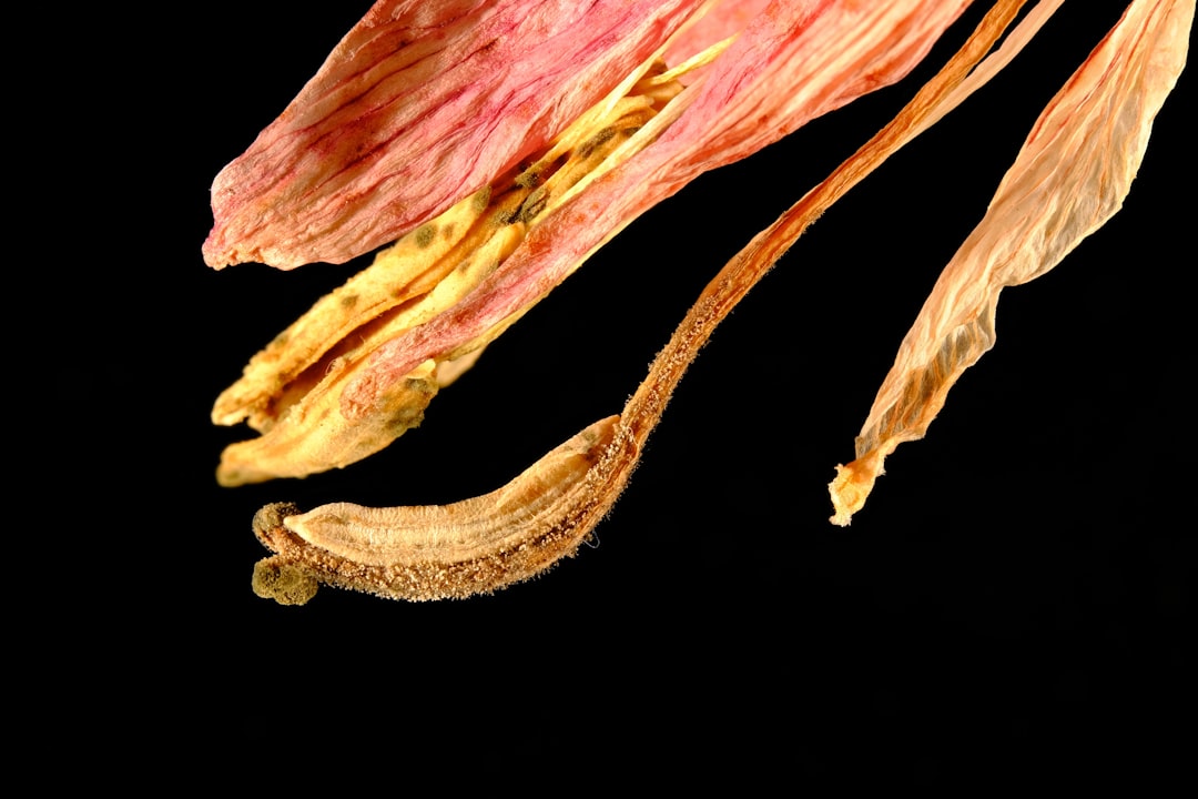 Springerknæ: Forståelse, Behandling og Forebyggelse